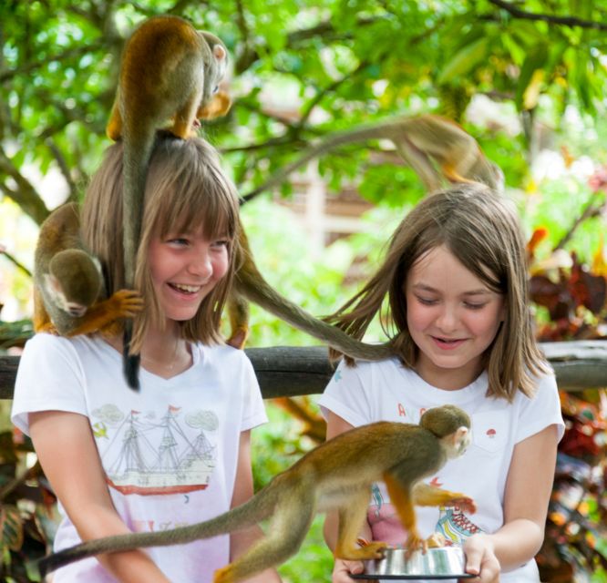 From Bayahibe: Half Day Monkeyland Safari - Pricing and Booking