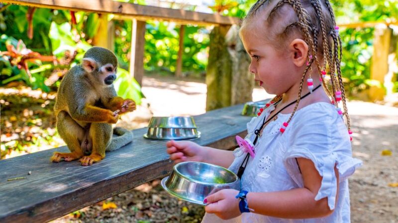 From Bayahibe: Half Day Monkeyland Safari - Interaction With Monkeys