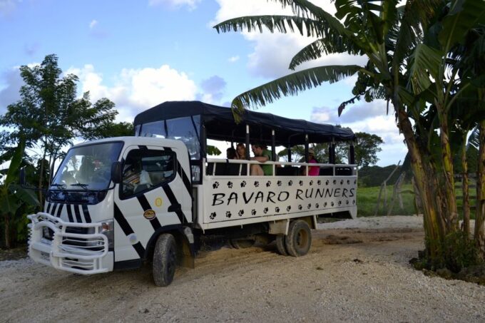 From Bayahibe: Half Day Monkeyland Safari - Transportation and Languages