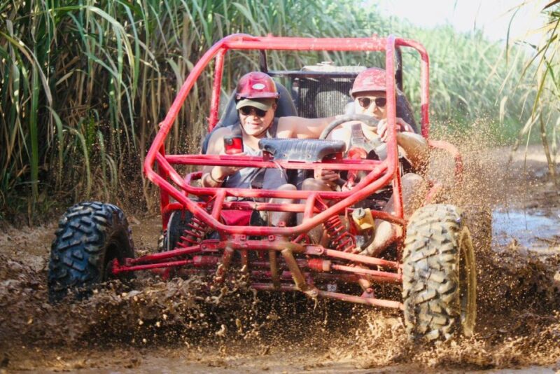 From Bayahibe-La Romana : Buggy Atv/Quad 4X4 Half-Day - Experience Highlights