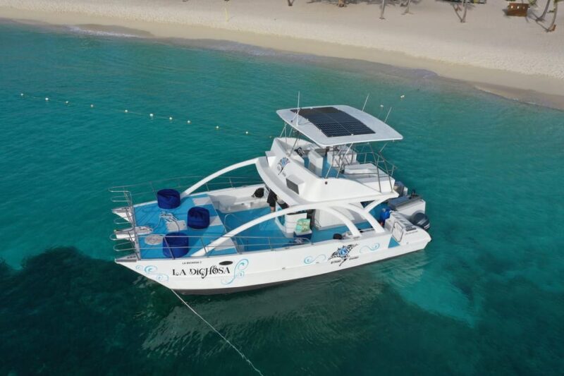 From Bayahibe: Private Starfish Cay Half-Day Experience - Important Information
