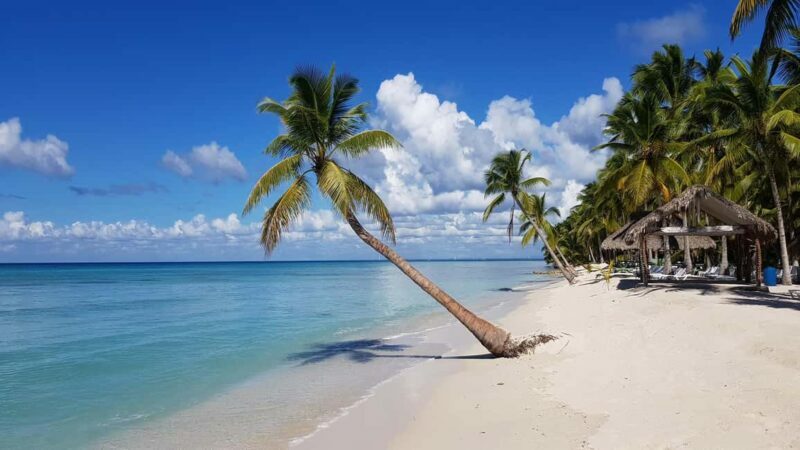 From Bayahibe: Saona Island Speedboat Tour with Snorkeling - Key Points