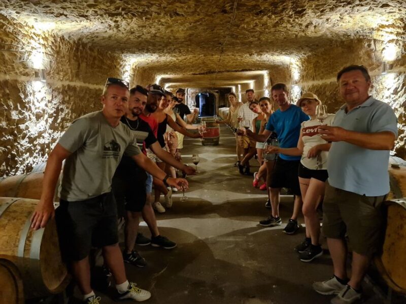 From Beaugency: 5-Day Bike Tour of the Loire Vally Wineries - Just The Basics