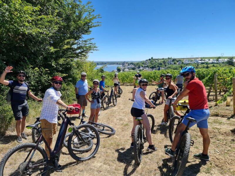From Beaugency: 5-Day Bike Tour of the Loire Vally Wineries - French Wine Culture