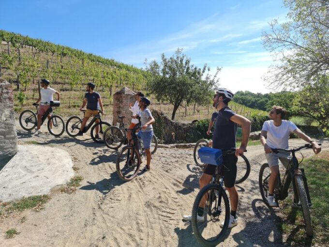 From Beaugency: 5-Day Bike Tour of the Loire Vally Wineries - Winery Experiences