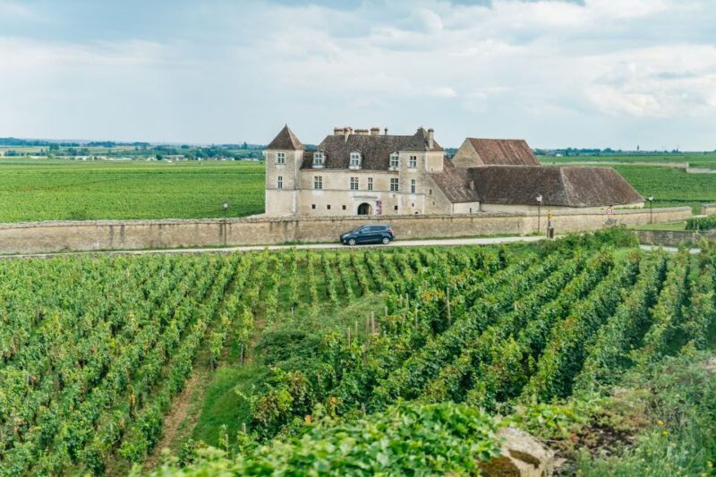 From Beaune: Burgundy Day Trip With 12 Wine Tastings - Route Des Grands Crus