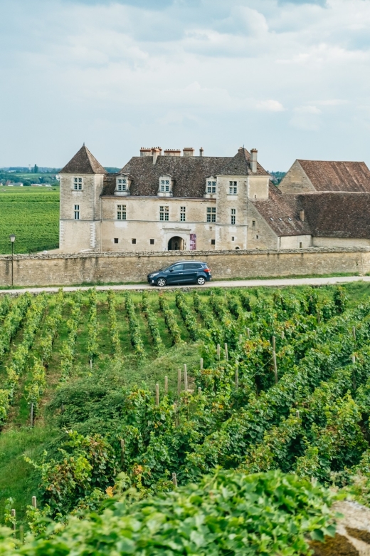 From Beaune: Burgundy Day Trip With 14 Wine Tastings - Wine Tasting Experience