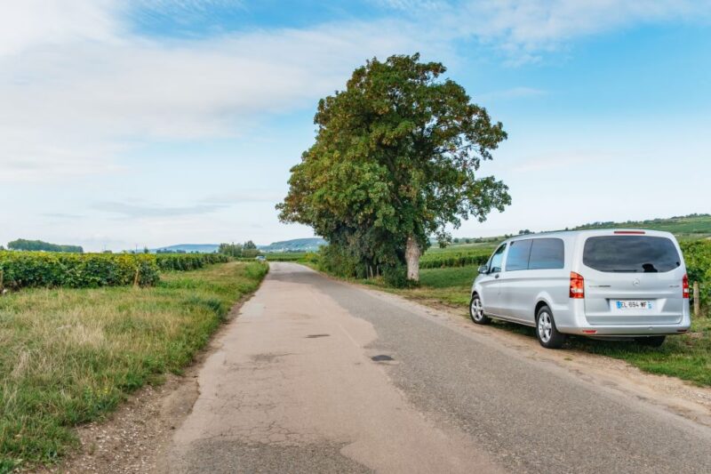 From Beaune: Burgundy Day Trip With 14 Wine Tastings - Food and Dining Options