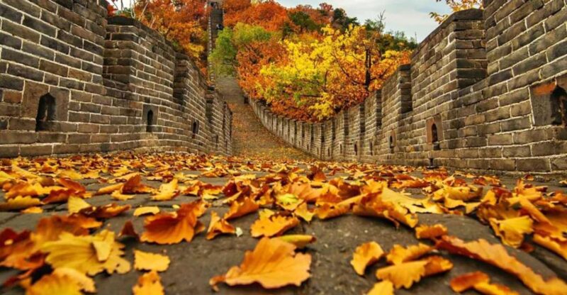 From Beijing: Mutianyu Great Wall Transfer With Pick-Up - Customer Reviews and Ratings
