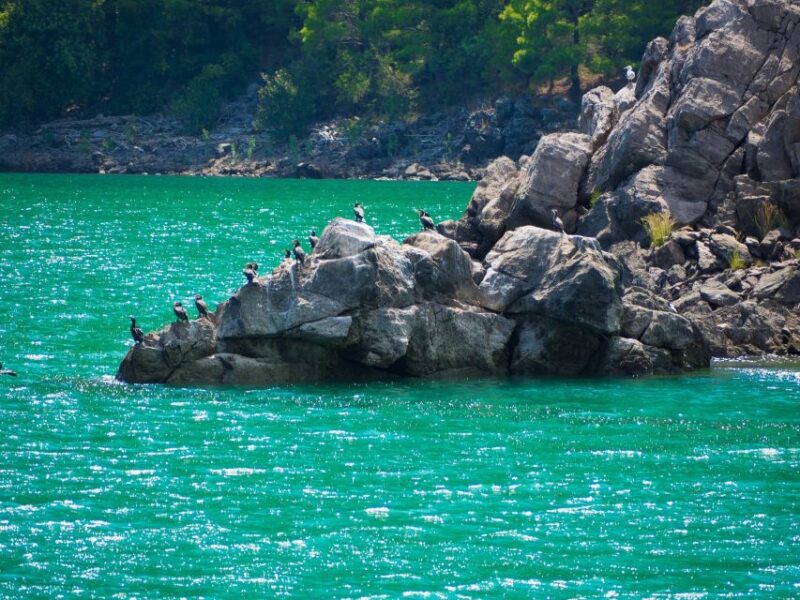 From Belek: Green Canyon Boat Trip With Lunch and Drinks - Key Points