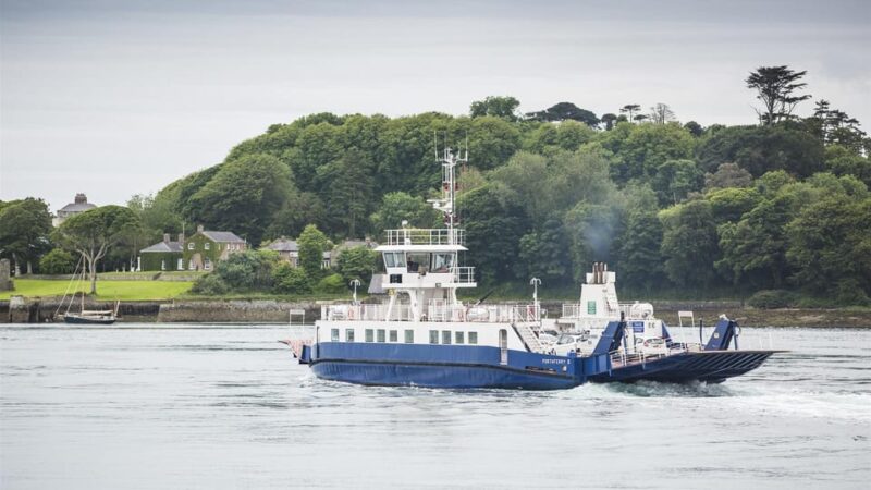 From Belfast: Scenic East Coast Transfer to Dublin - Tour Experience and Guide