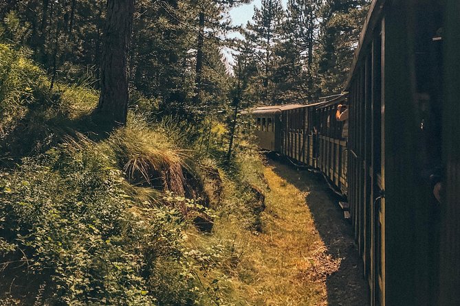 From Belgrade: Drina River House, Mokra Gora and Šargan 8 Railroad Tour - Tour Details