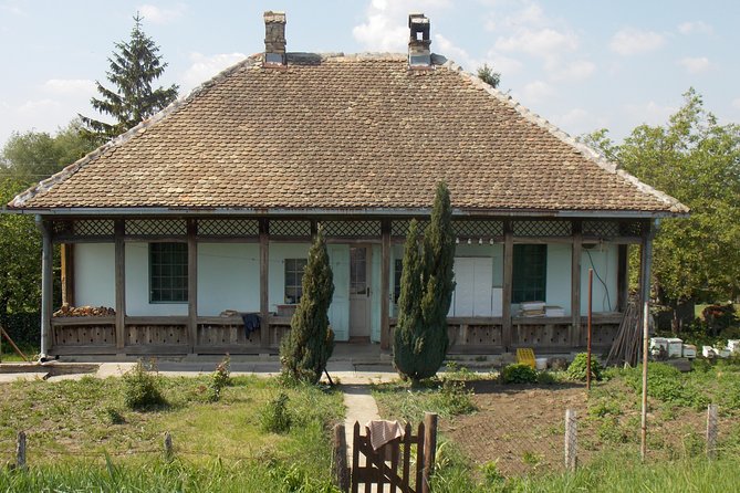 From Belgrade to Pančevo - Into the Wild - Reflecting on the Journey