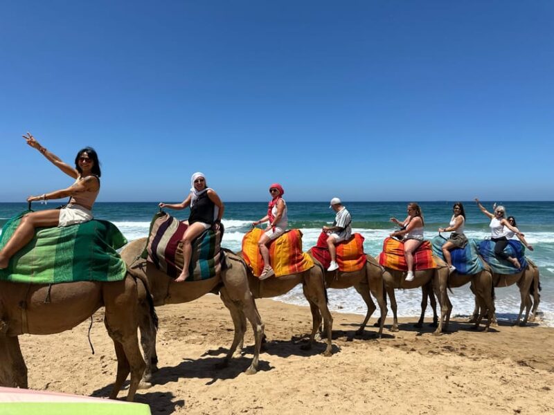 From Benalmadena: Private Day Tour to Tangier - Key Points