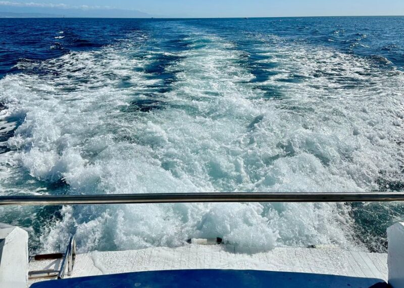 From Benalmádena & Torremolinos: Dolphin Watch Boat Trip - Important Details to Note