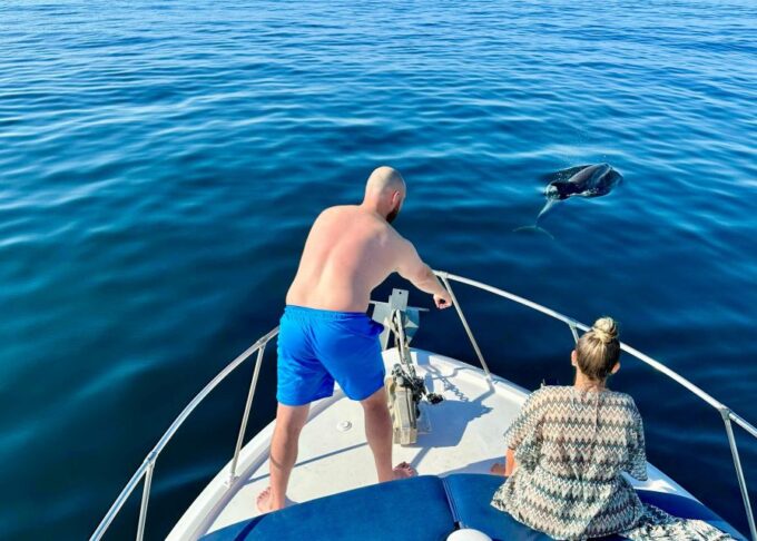 From Benalmádena & Torremolinos: Dolphin Watch Boat Trip - Complimentary Onboard Amenities