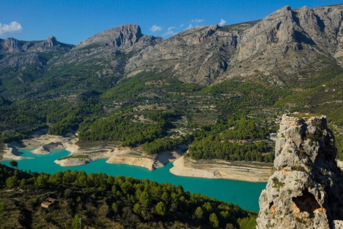 From Benidorm: Private Costa Blanca Tour With Wine Tasting - Exploring the Ancient Olive Tree