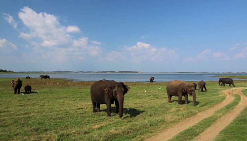 From Bentota: 2-Day Tour to Wild Wonders and Galle Fort - Day 2 Itinerary