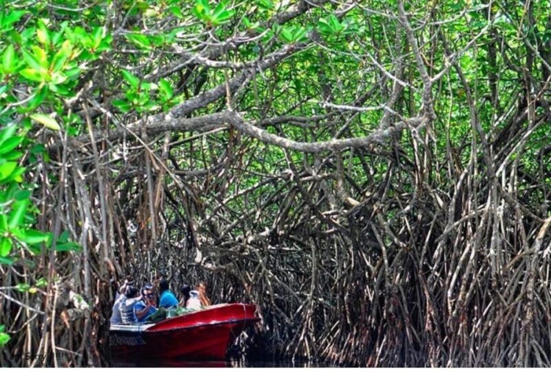 From Bentota: Galle Dutch Fort & Madu River Safari Tour - Pickup Locations