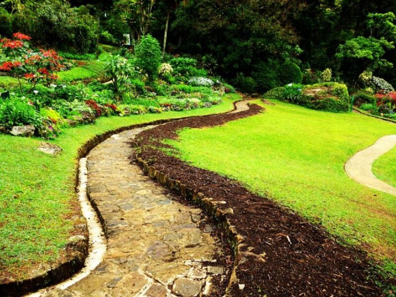 From Bentota: Kandy Tour With Tooth Temple & Gardens Visit - Pricing and Policies