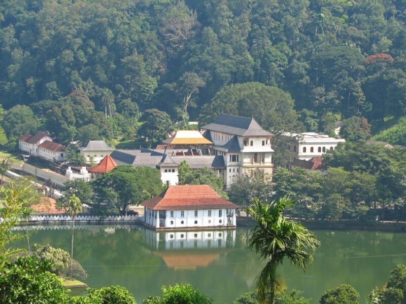 From Bentota: Kandy Tour With Tooth Temple & Gardens Visit - Tour Inclusions