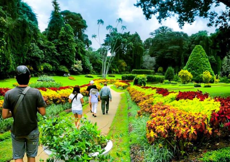 From Bentota or Beruwela: Private Day Tour to Kandy - Key Points