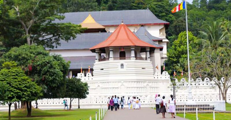 From Bentota or Beruwela: Private Day Tour to Kandy - Itinerary and Highlights