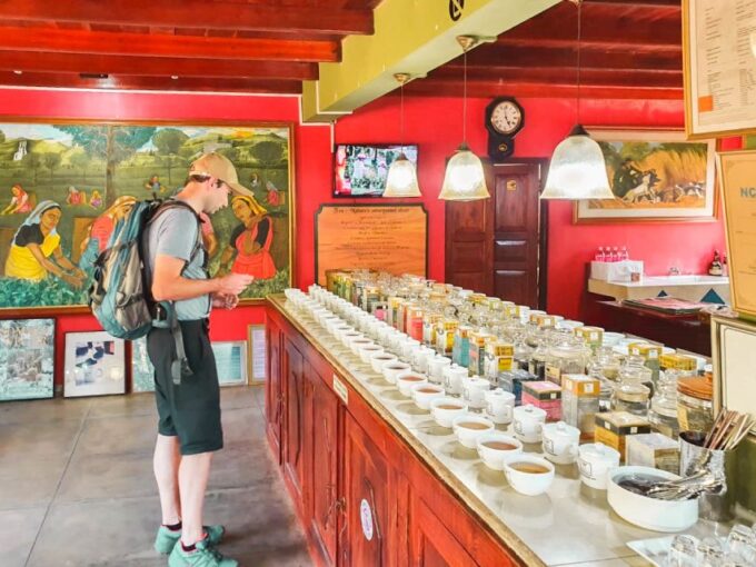 From Bentota: Southern Coast Highlights Private Day Tour - Recap