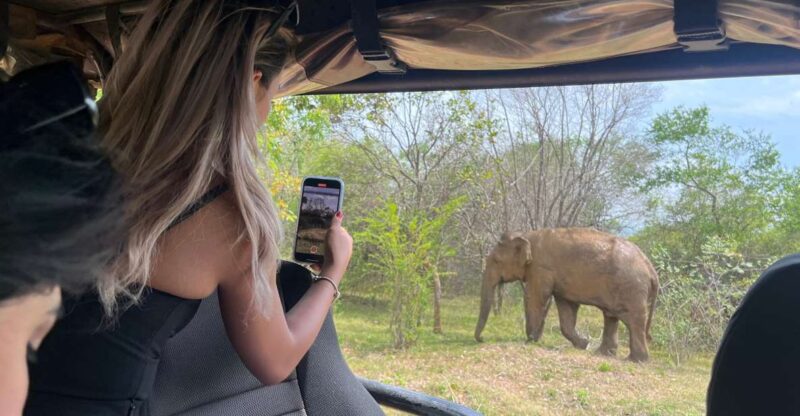 From Bentota: Udawalawa National Park Wildlife Safari - Key Points