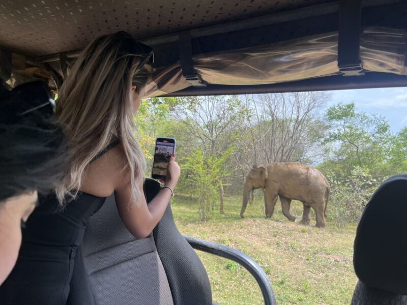 From Bentota: Udawalawa National Park Wildlife Safari - Wildlife Experience