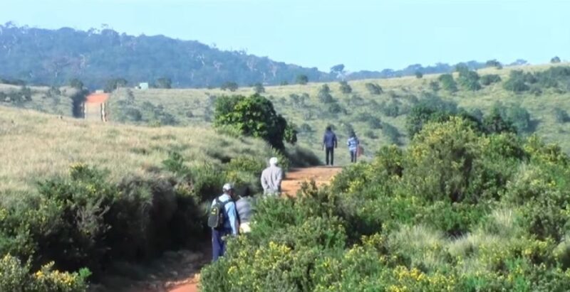 From Bentota: Wonders of Hill Country Exploration Tour - Key Points
