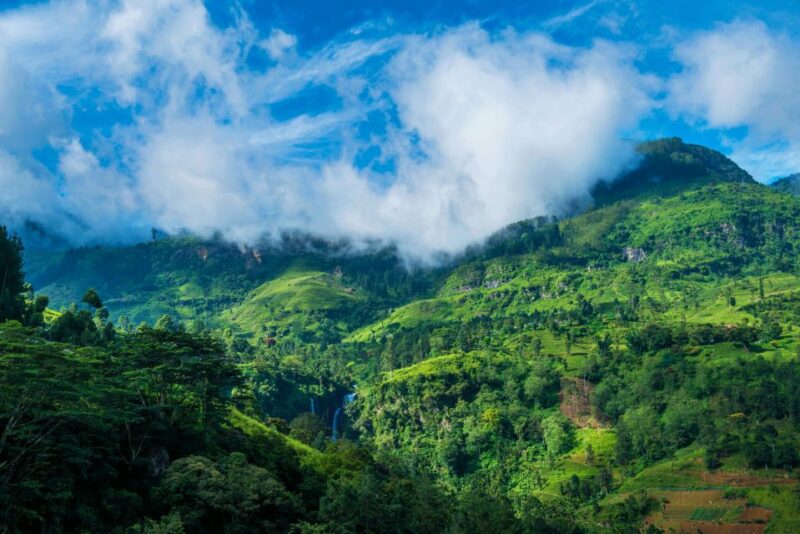 From Bentota: Wonders of Hill Country Exploration Tour - Nuwara Eliya Sightseeing