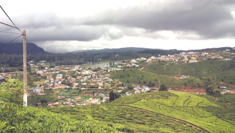 From Bentota: Wonders of Hill Country Exploration Tour - Tea Factory and Plantations