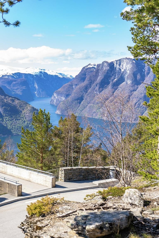 From Bergen: Day Trip With Flam Railway and Fjord Cruise - Experience and Activities