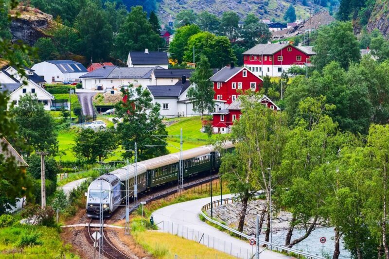 From Bergen: Flam Full-Day Cruise to Sognefjord - Language Support and Accessibility