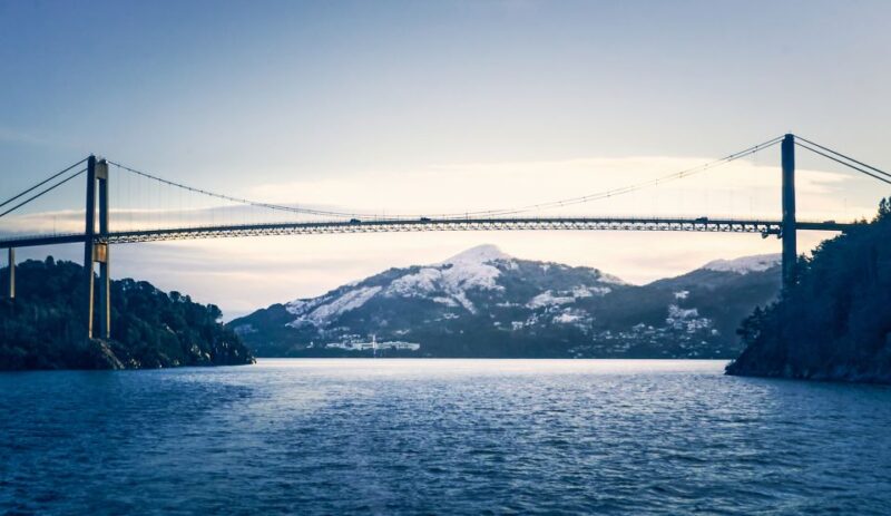 From Bergen: Sightseeing Fjord Cruise to Alversund Strait - Highlights of the Experience
