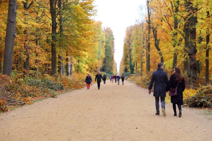 From Berlin: Historical Gems of Potsdam Private Day Trip - Accessibility and Customer Reviews