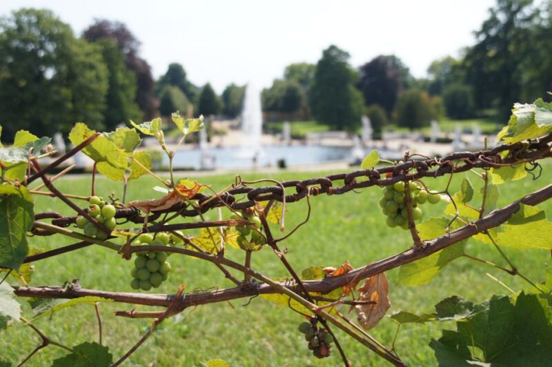 From Berlin: Potsdam Half-Day Tour in Spanish - Key Points