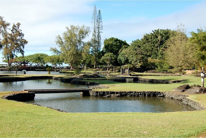 From Big Island Hilo Private Volcanoes and Waterfalls Tour - Experiencing the Volcanic Sites