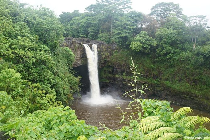From Big Island Hilo Private Volcanoes and Waterfalls Tour - Positive Reviews and Feedback
