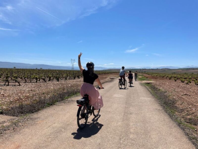 From Bilbao: La Rioja Wine Tour by E-Bike With Wine Tastings - Key Points