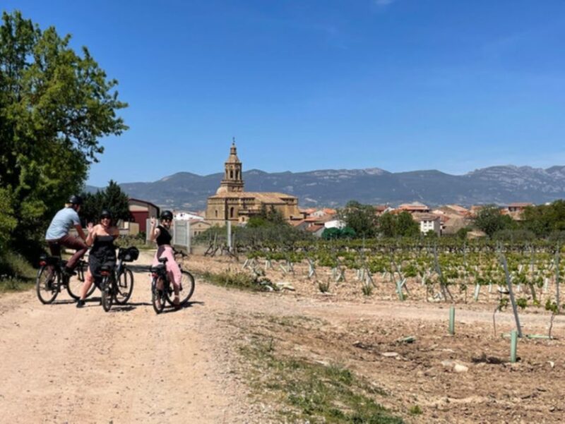 From Bilbao: La Rioja Wine Tour by E-Bike With Wine Tastings - Visiting Local Wineries