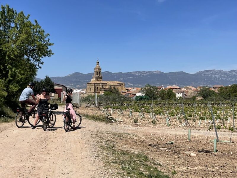 From Bilbao: La Rioja Wine Tour by E-Bike With Wine Tastings - Rioja Wine Tasting Experience