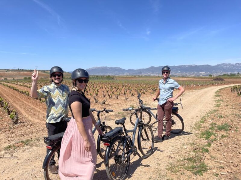 From Bilbao: La Rioja Wine Tour by E-Bike With Wine Tastings - Picnic Lunch in Vineyards