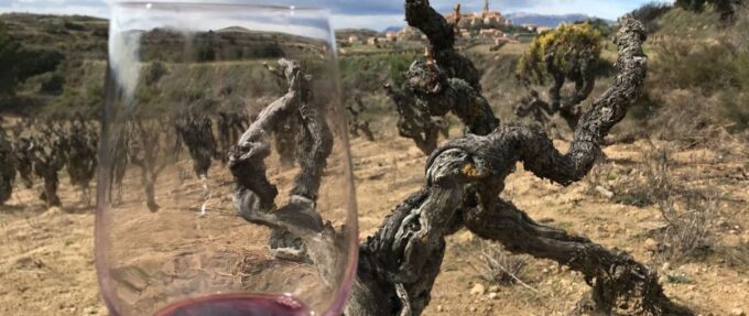 From Bilbao: La Rioja Wine Tour by E-Bike With Wine Tastings - Frequently Asked Questions