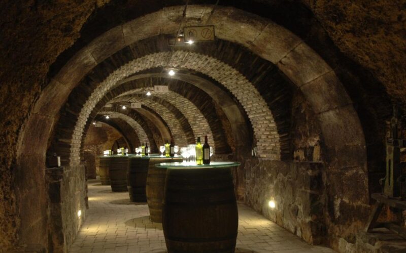 From Bilbao: La Rioja Wineries Day Trip With Wine Tastings - Tour Overview