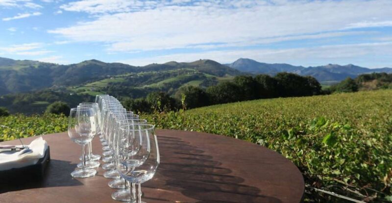 From Bilbao: Private San Sebastian, Pintxo, and Wine Tour - Winery Visit