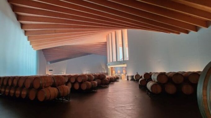 From Bilbao: Rioja Architecture and Wine Tour - What to Expect