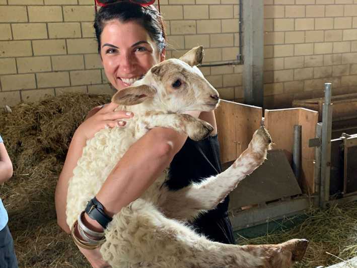 From Bilbao: San Sebastian and Basque Cheese Farm Tour - Cheese-Making Process