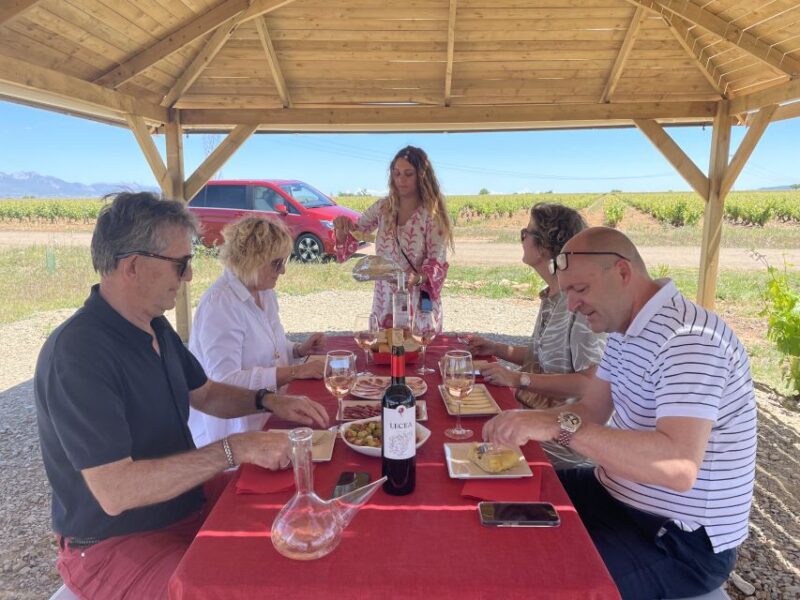 From Bilbao: Two Rioja Wineries Day Trip With Picnic Lunch - Picnic Lunch in Vineyards